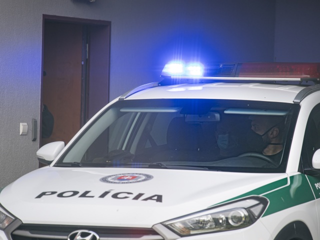 Polícia / Policajt / NAKA /