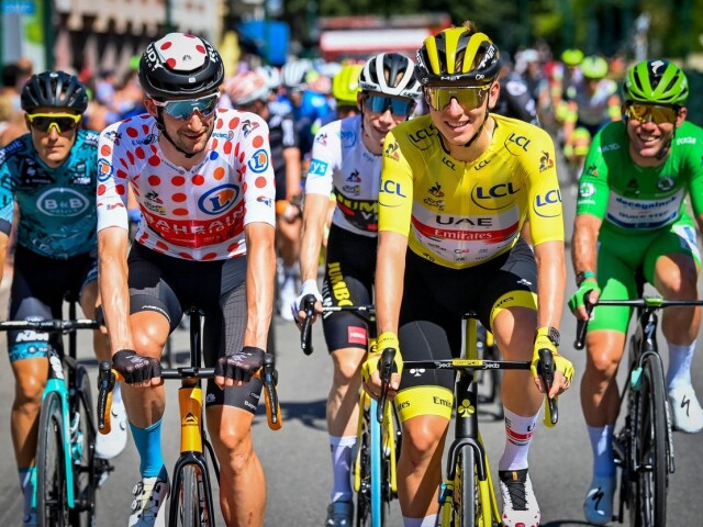Wout Poels