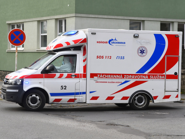 Sanitka