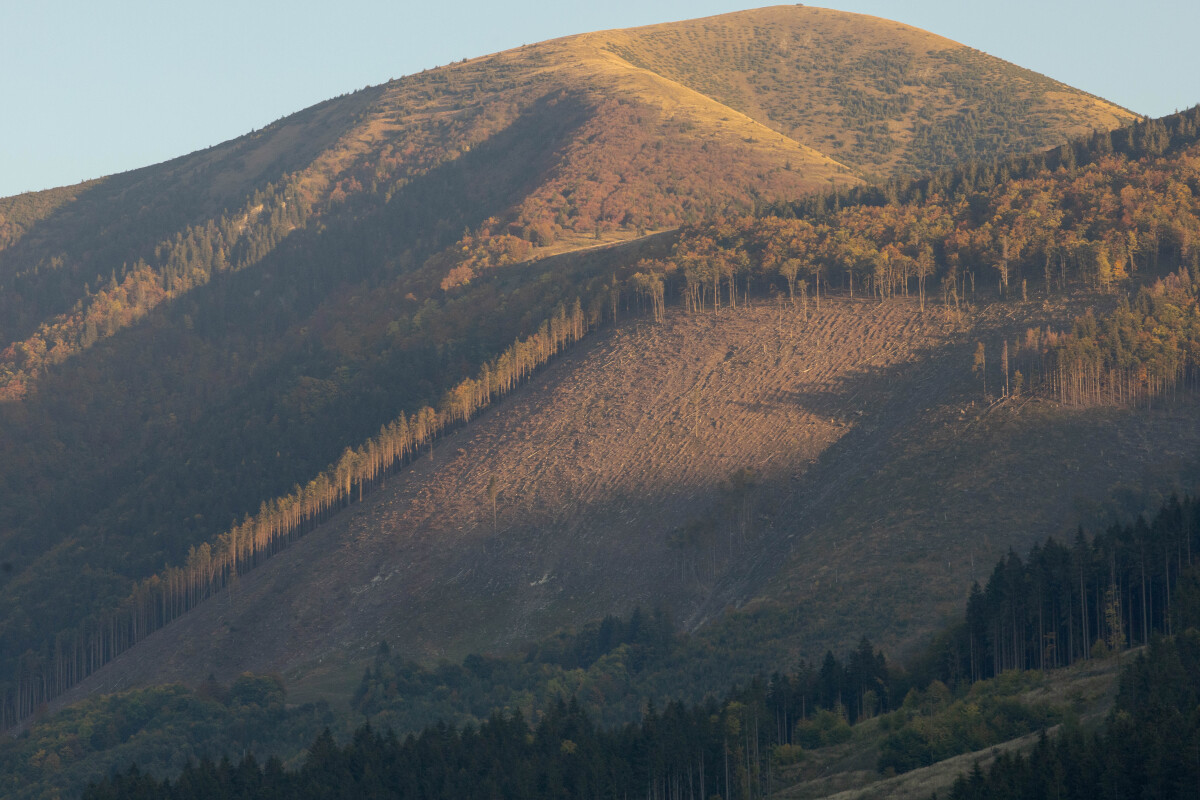 1vratna, tazba, reportaz, fotogaleria,