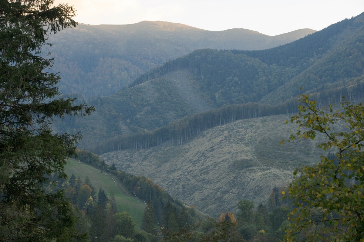 2vratna, tazba, fotogaleria, reportaz,