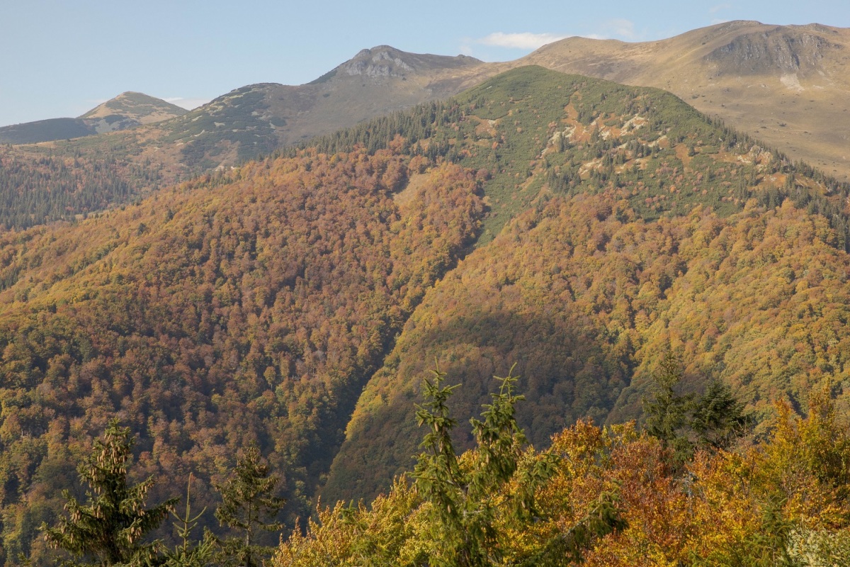 5pralesy, vratna, reportaz, fotogaleria,