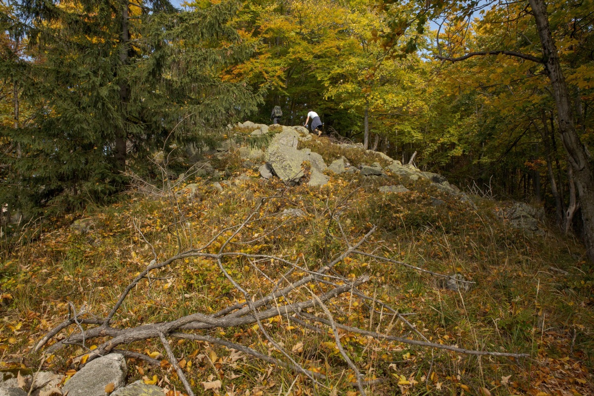 6pralesy, vratna, reportaz, fotogaleria,