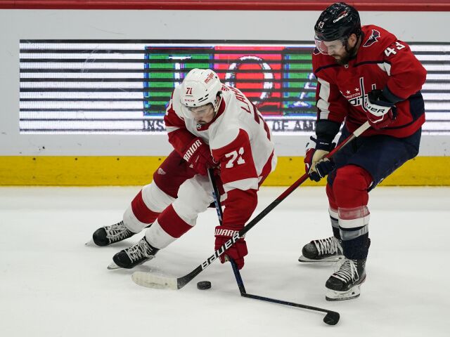 Dylan Larkin, Tom Wilson