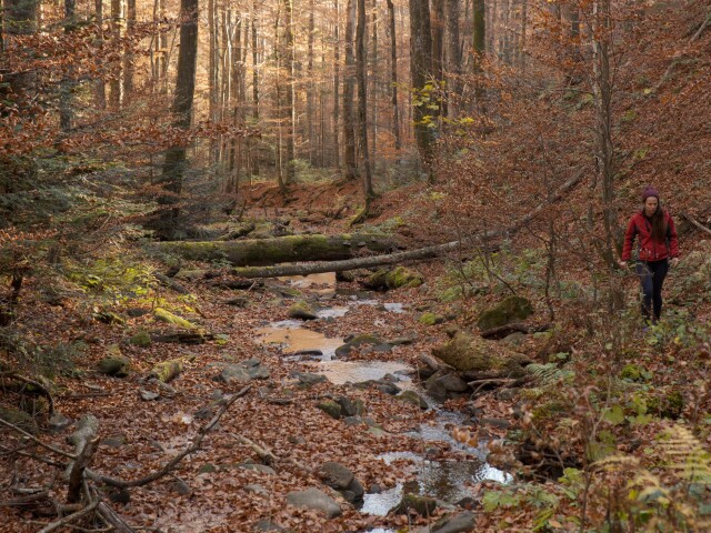 Poloniny, Stužica, riečka