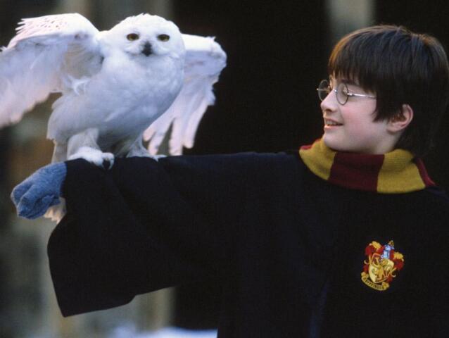 Harry Potter a Kamen mudrcov 2 2001