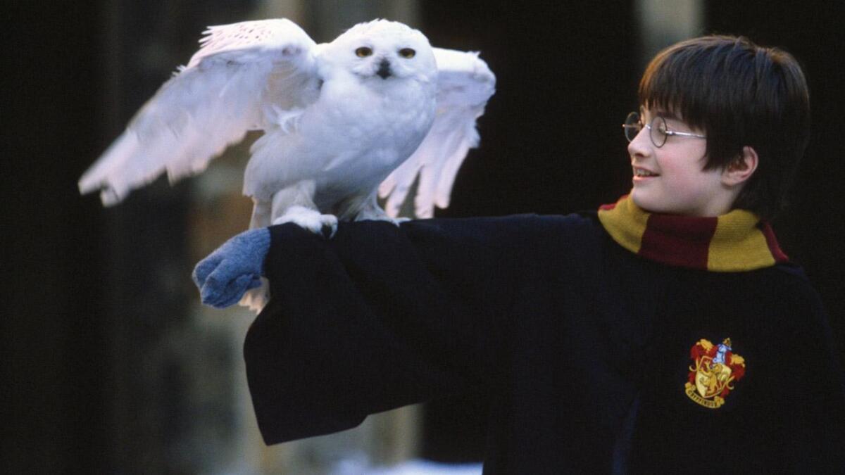 Harry Potter a Kamen mudrcov 2 2001
