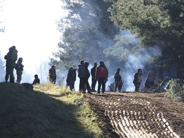 migranti