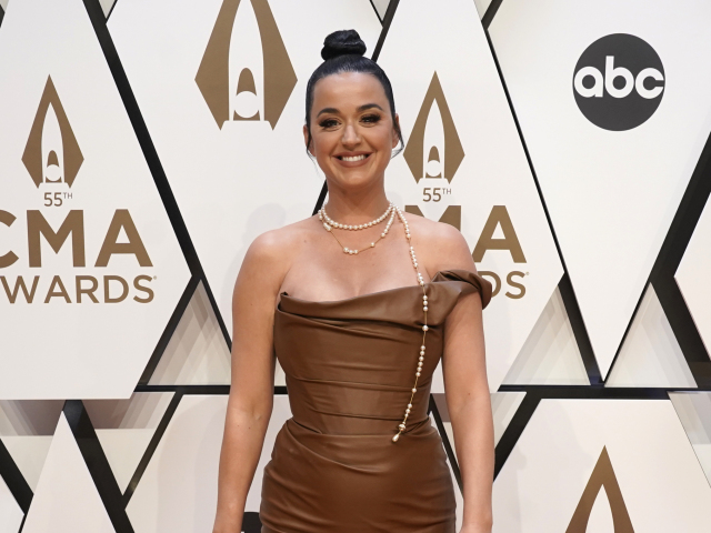 55th Annual Country Music Awards - Arrivals
