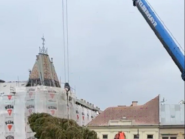 Košice, vianočný strom
