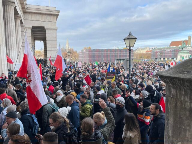 protest, Viedeň