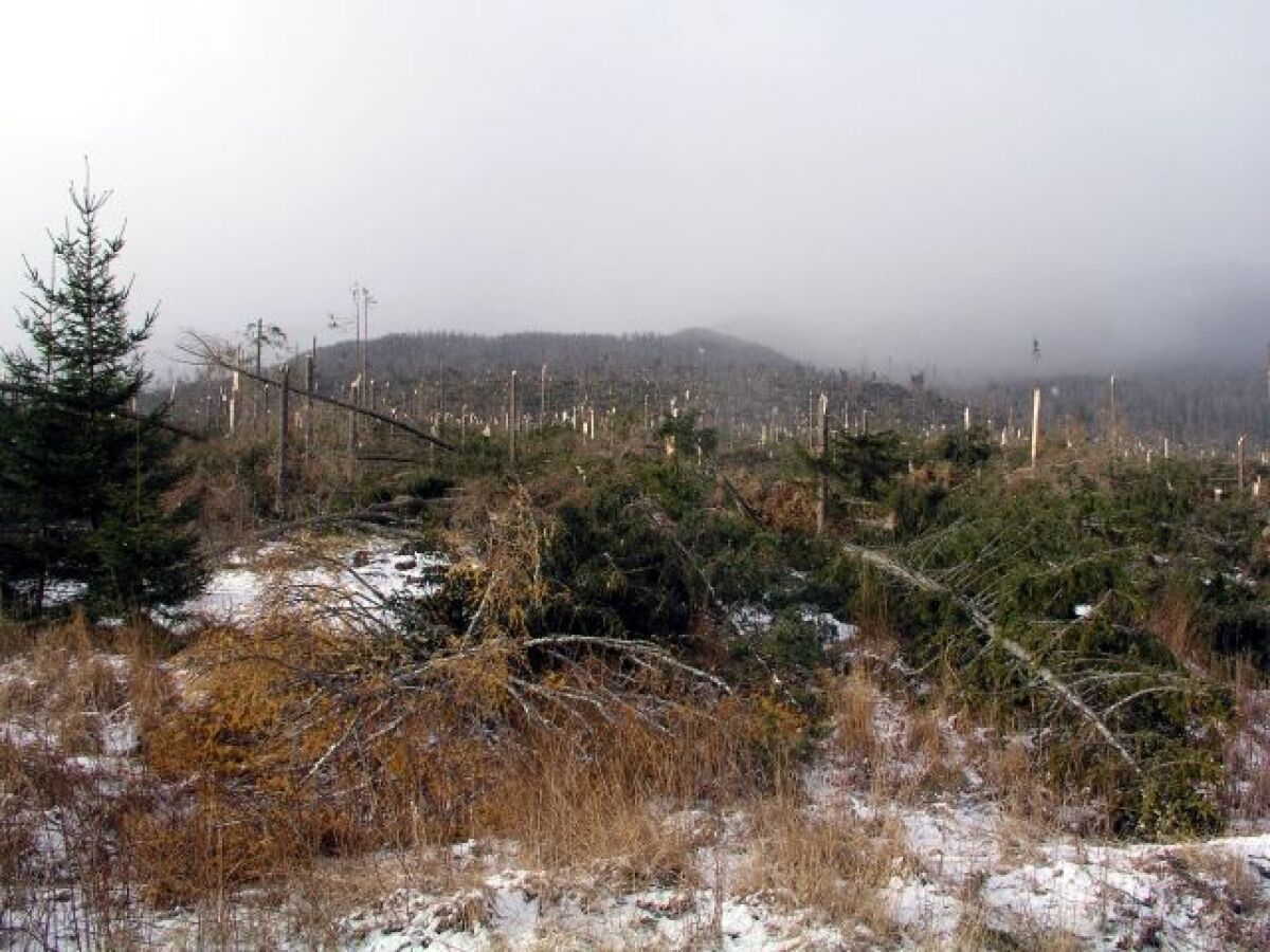 Tatry, víchrica