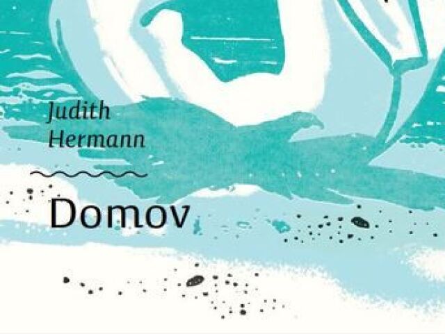 kniha domov