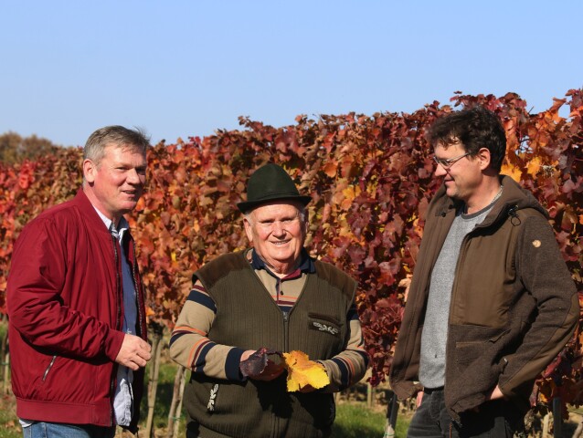 Kamil Boroš, Ladislav Boroš, Vinohrady Jasová