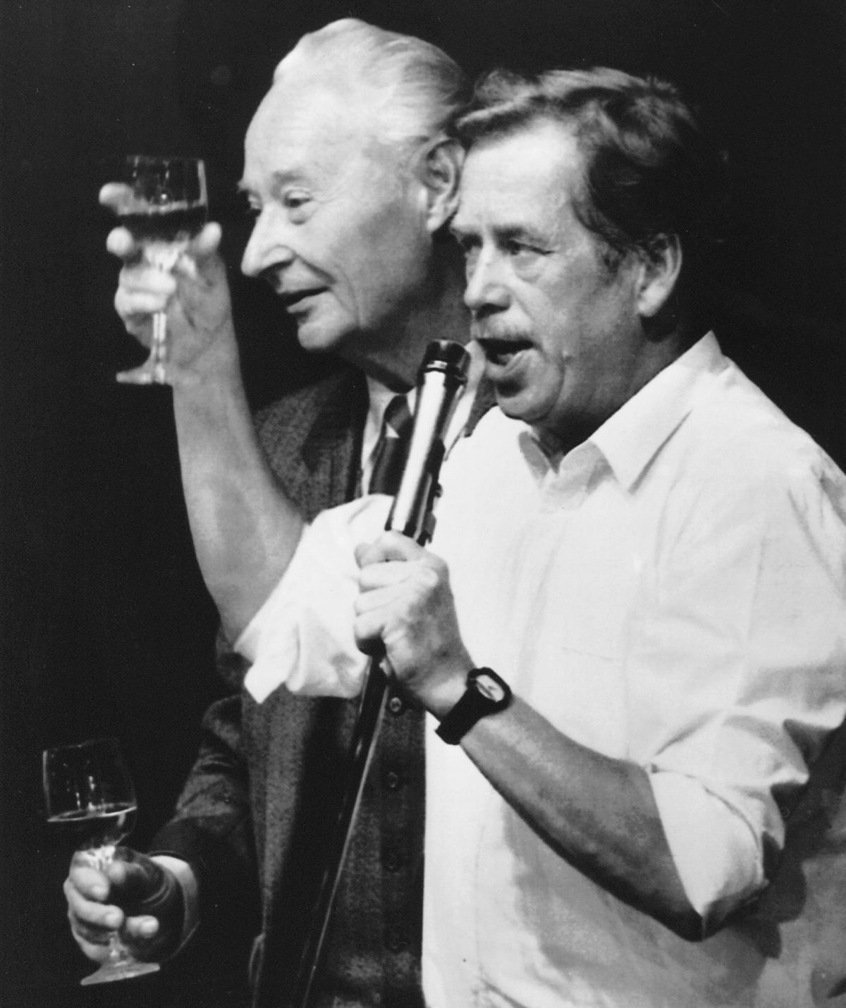 Alexander Dubček, Václav Havel