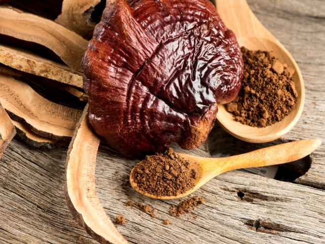 DZ-reishi,