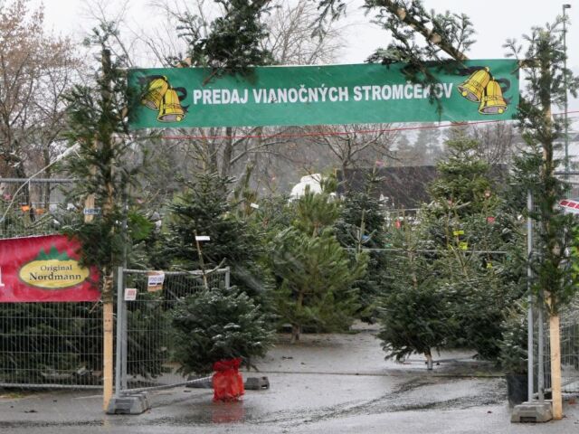 Žilina Vianoce advent stromčeky vianočné