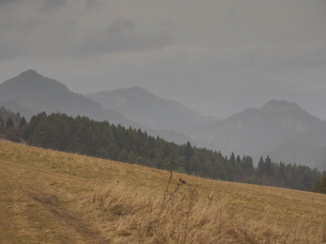 Pieniny, výhľad, Lesnické sedlo