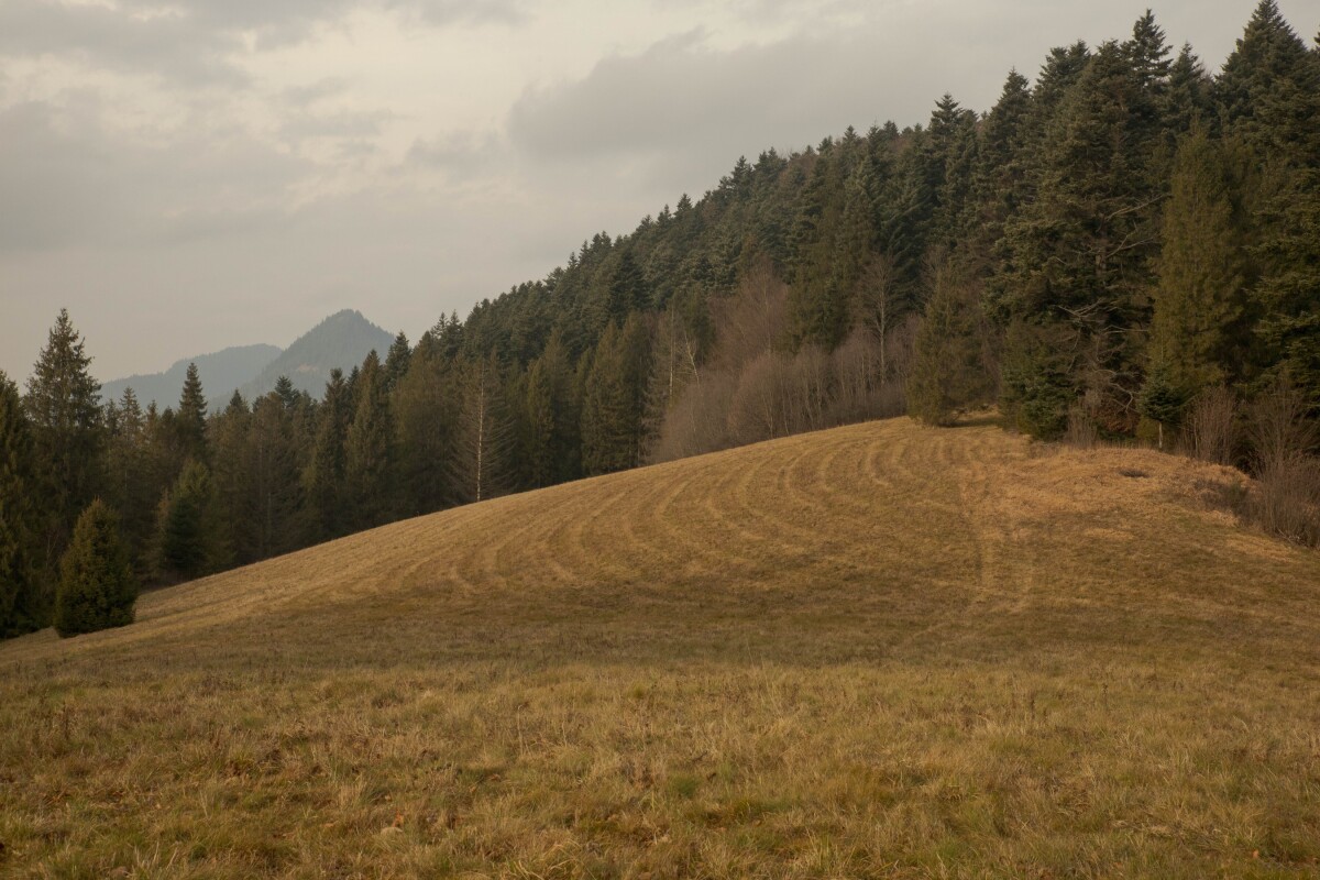 Pieniny, lúky, Poľsko