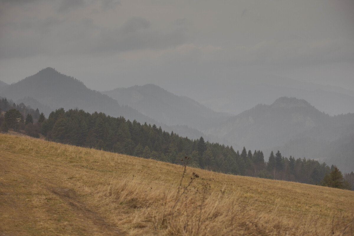 Pieniny, výhľad, Lesnické sedlo