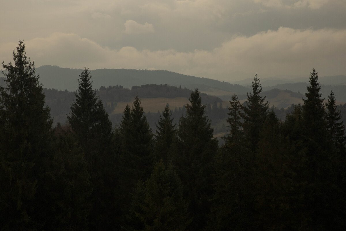 Pieniny, výhľad, Tatry