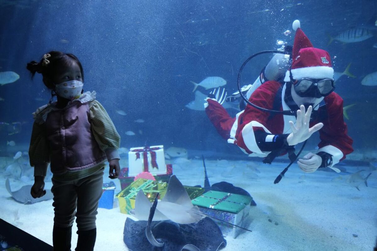 Južná Kóre, Vianoce, Santa Claus,
