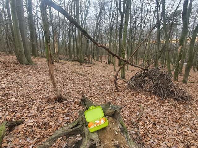 Konár / Koliba /