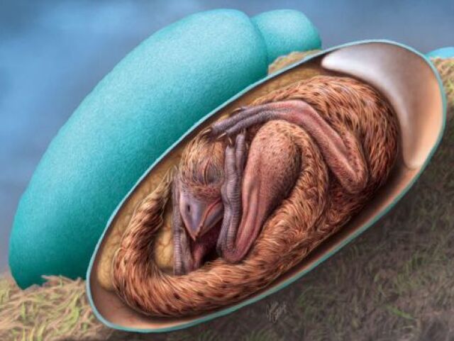 dino embryo