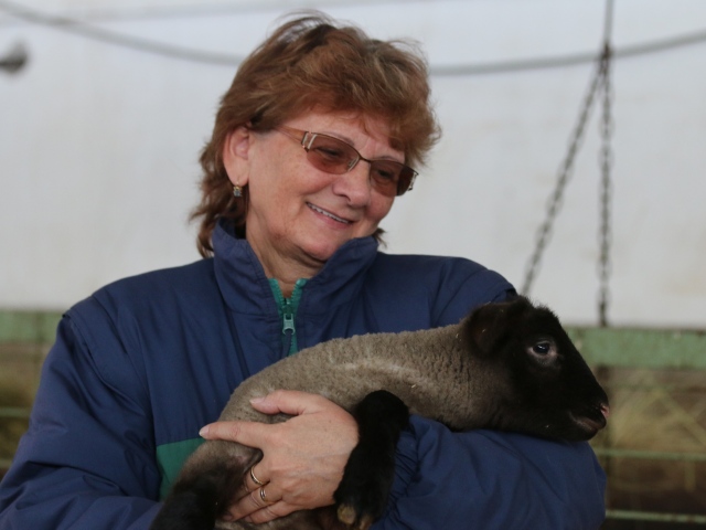 Anka Glejdúrová