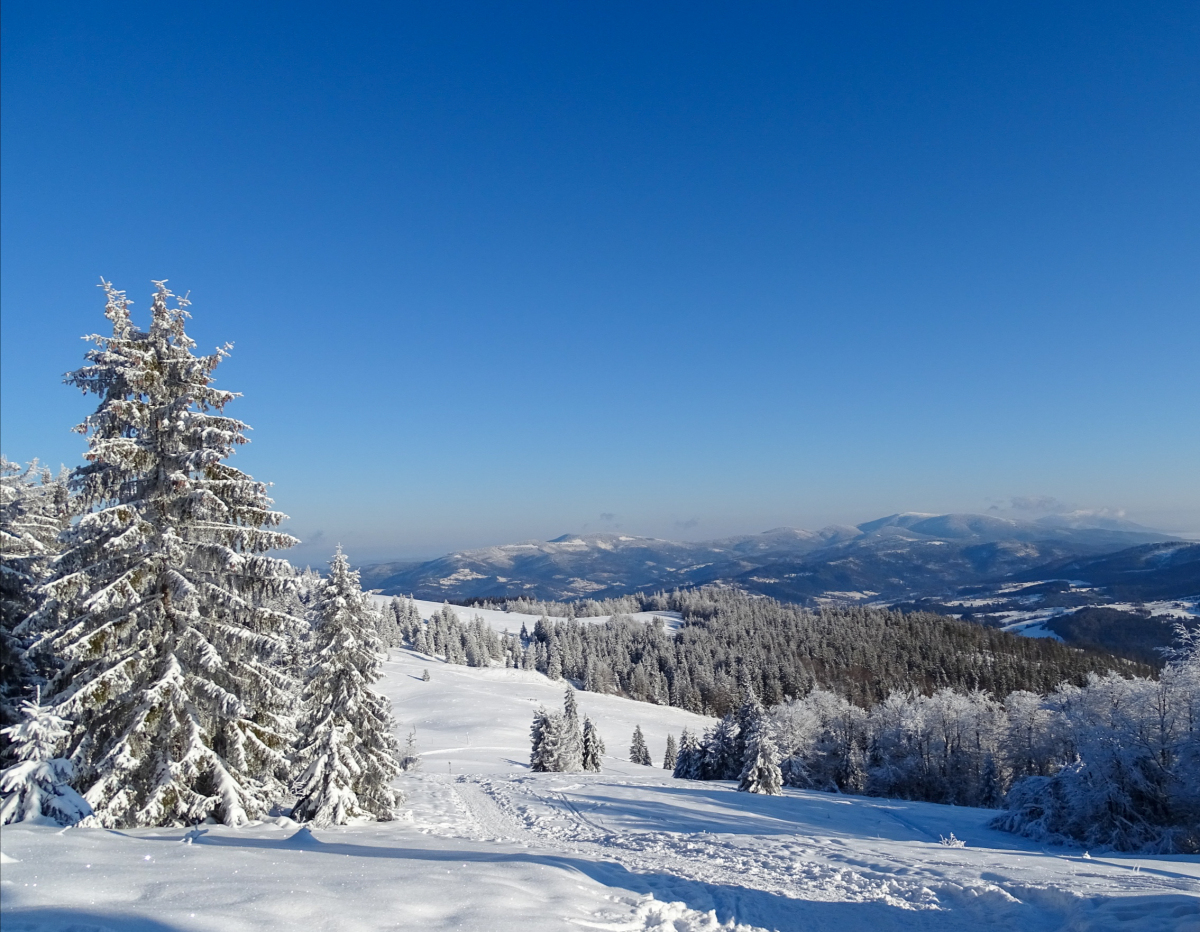 NEPOUZIVAT, Veľká Rycierová - Vychylovka