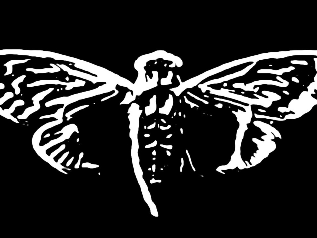 Cicada 3301