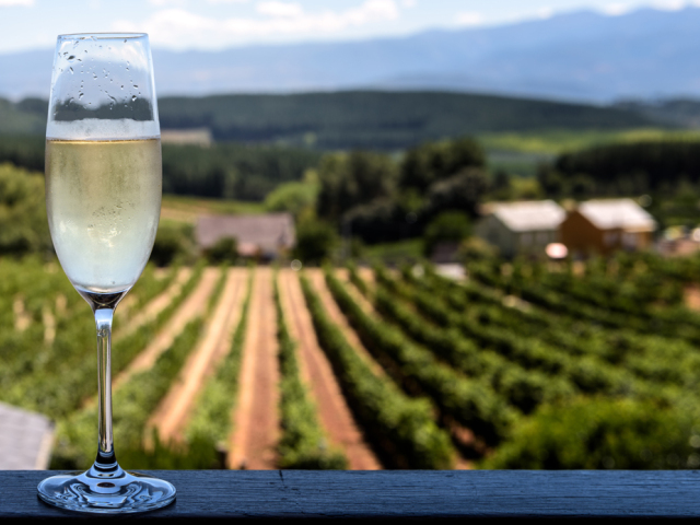 champagne glass, šampanské, varecha,