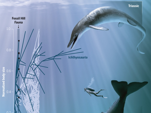 ichthyosaurus