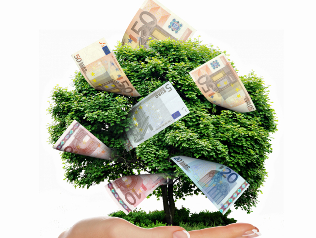 euro peniaze