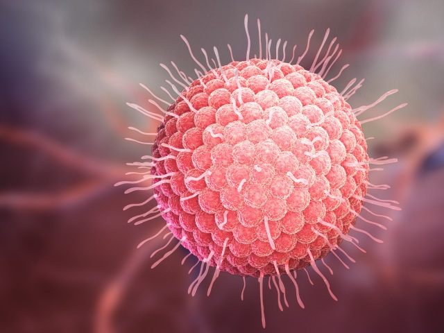 dobré zdravie, herpes,