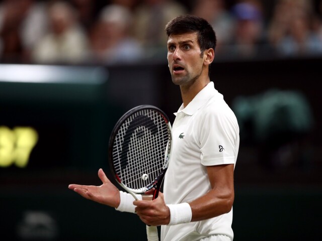 377760595 novak djokovič