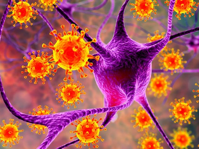 Viruses infecting neurons, concept for brain infection, 3D illustration