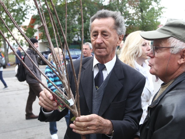 jablkove hodovanie, jablko, dobre jablka, sad