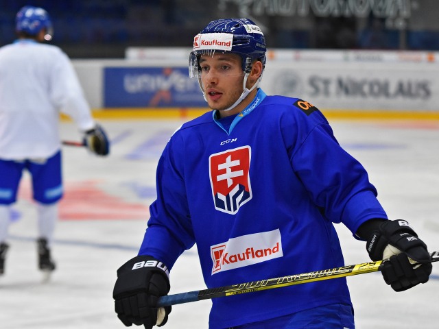 SR šport hokej MS2019 reprezentácia zraz Daňo