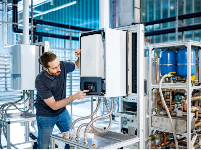 Vaillant Group