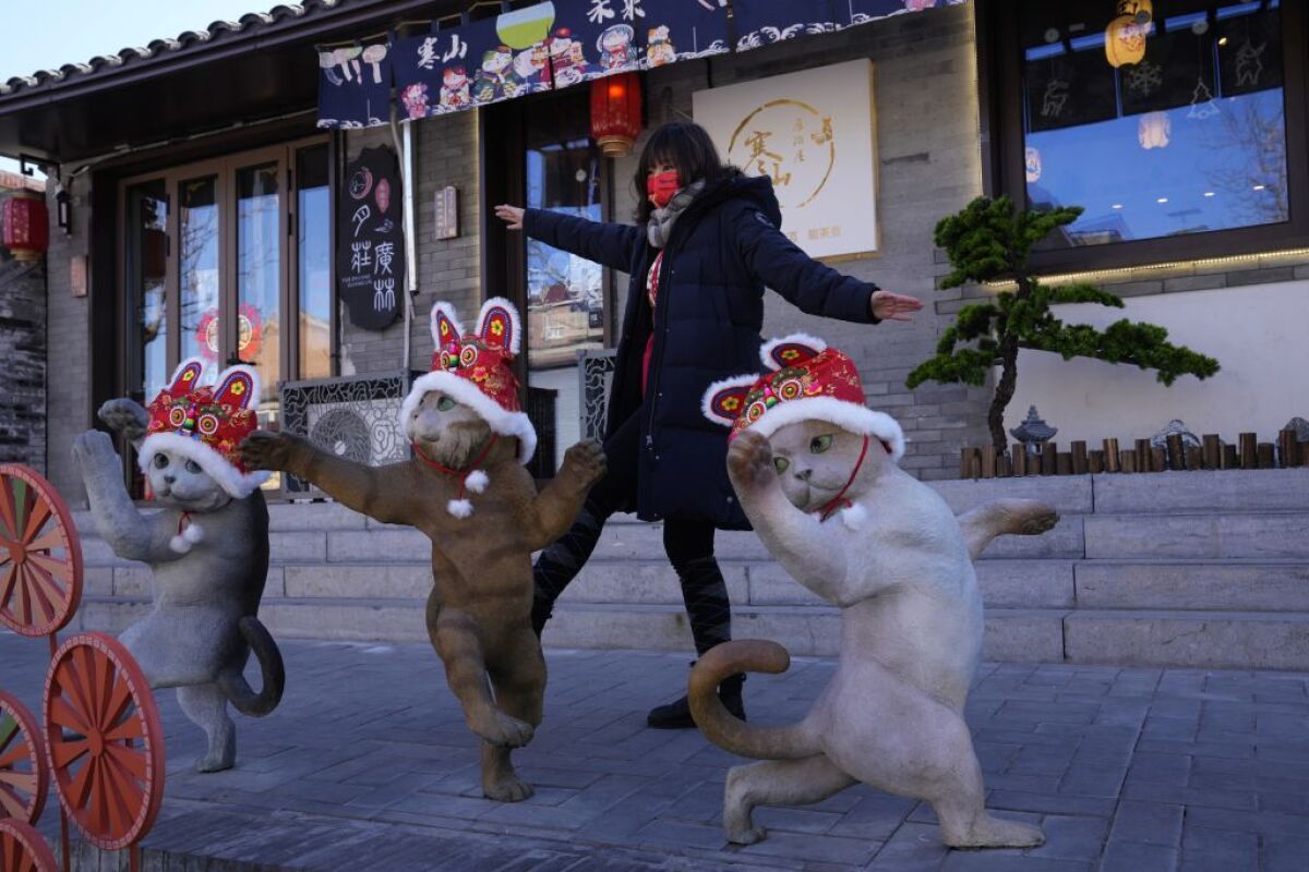 Peking, mačky, lunárny nový rok