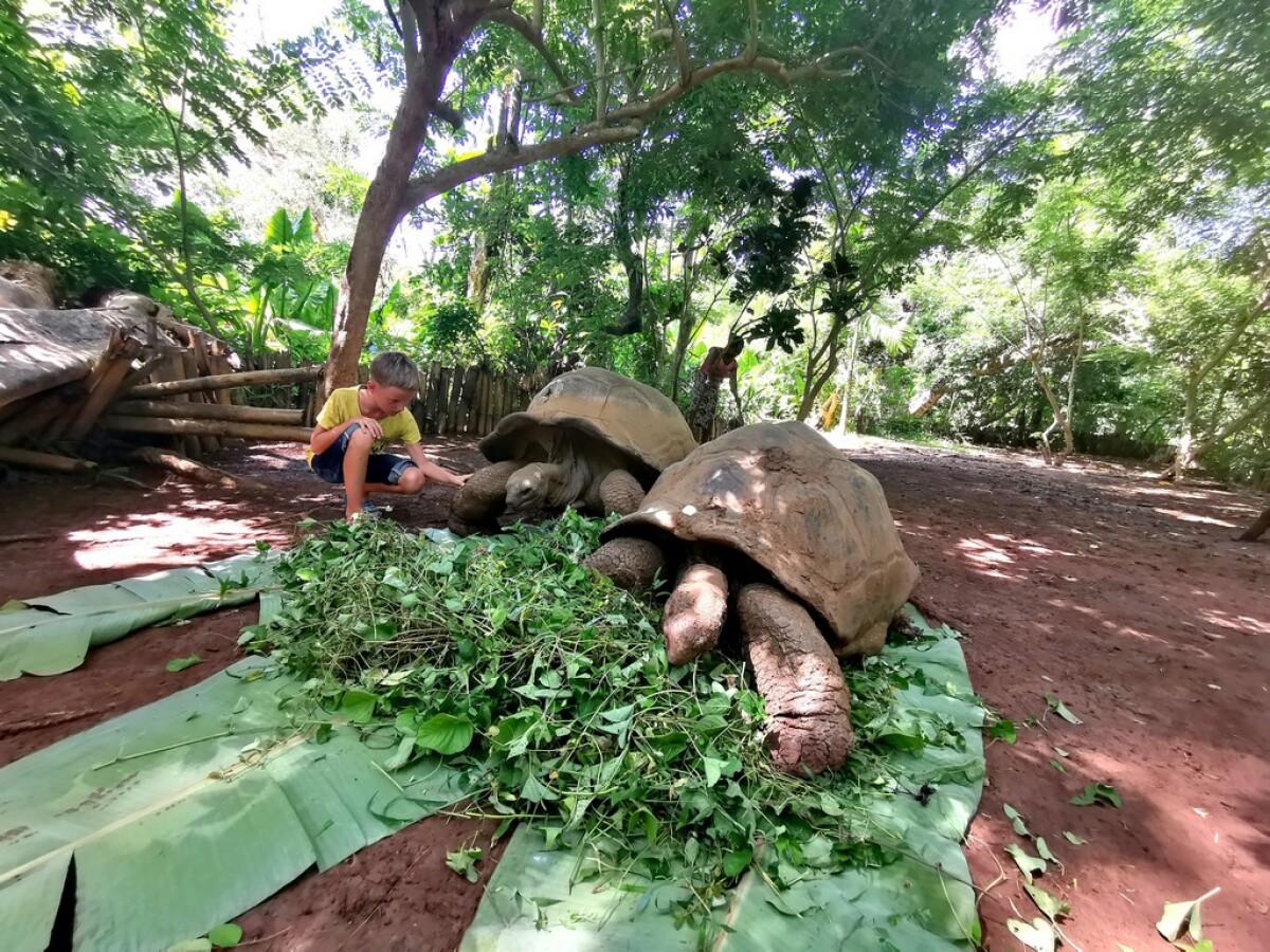 NEPOUZ, Madagaskar