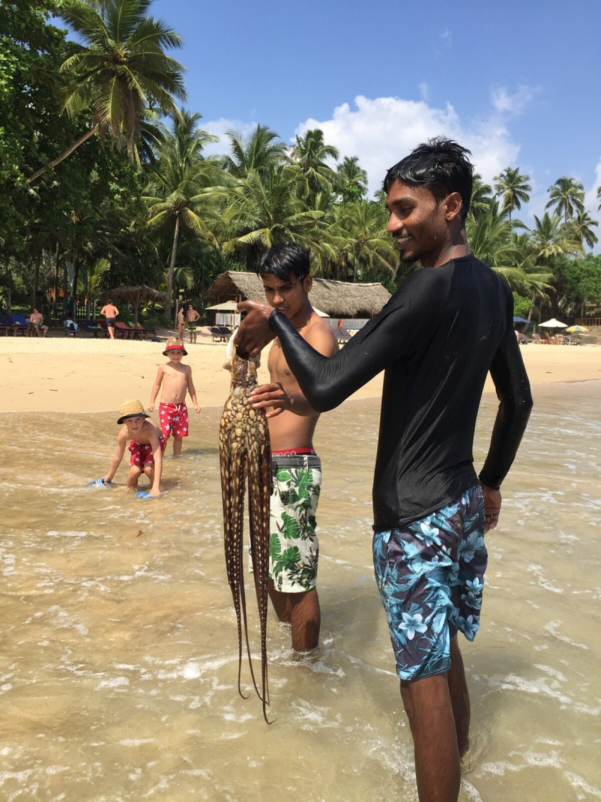 NEPOUZ, Sri Lanka