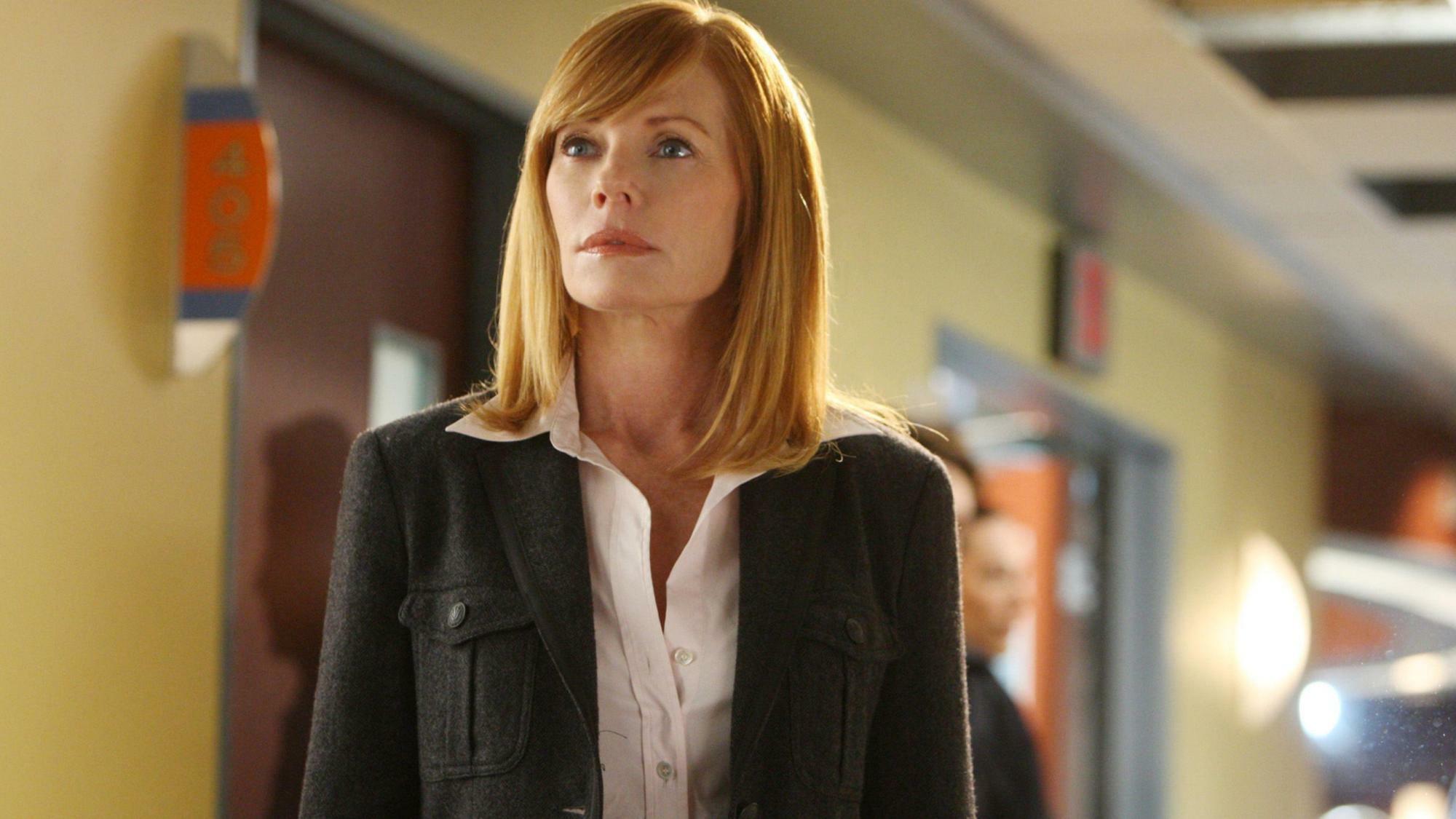 Do novej série sa vracia herečka Marg Helgenberger.