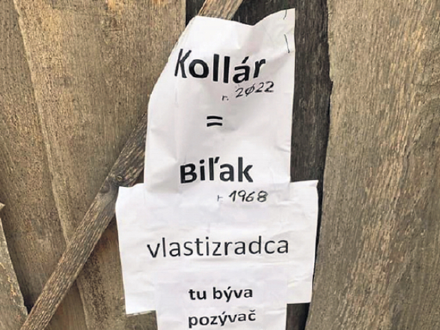 vlst plagaty