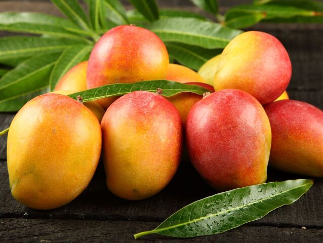 mango