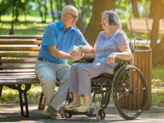 seniori vozickar dochodcovia dochodca