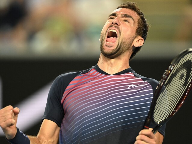 Marin Čilič