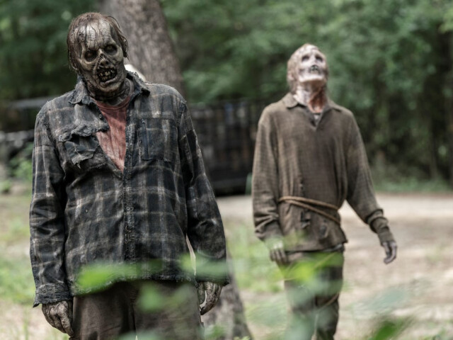 walking dead, zombík, zombie,