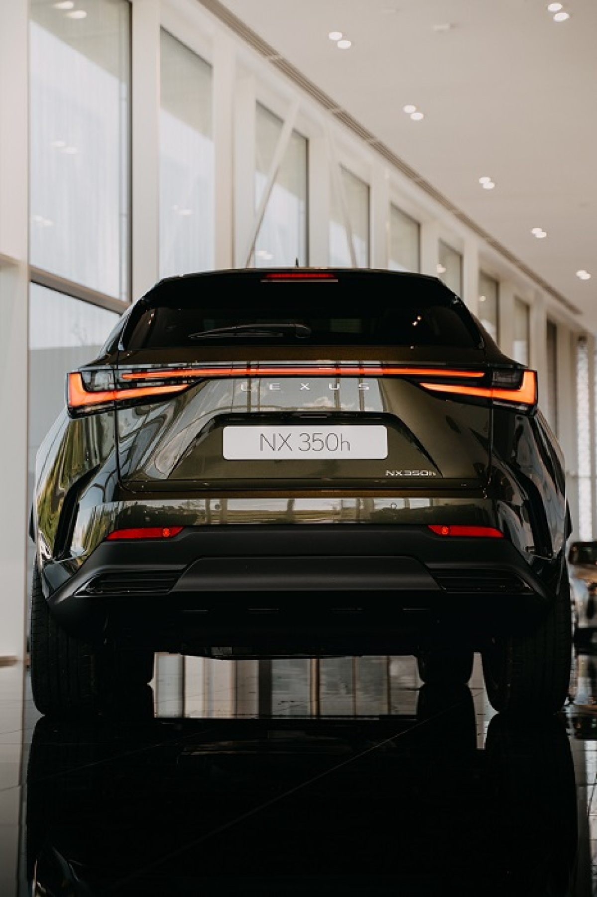 Lexus NX, PR, nepouzivat